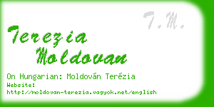 terezia moldovan business card